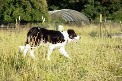 IMG 7413.jpg