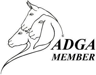 adga logo small.JPG