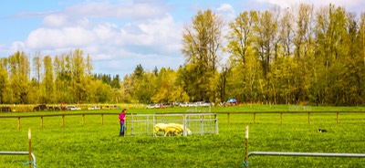 IMG 2825.jpg