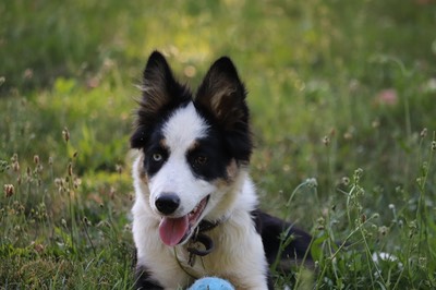 IMG 3395.jpg