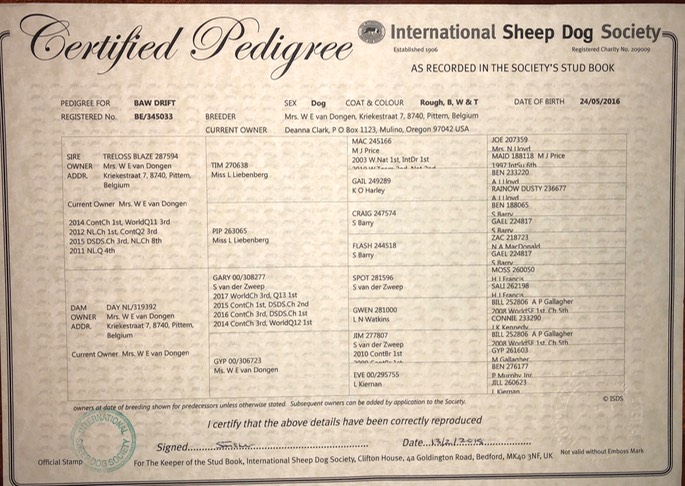 pedigree